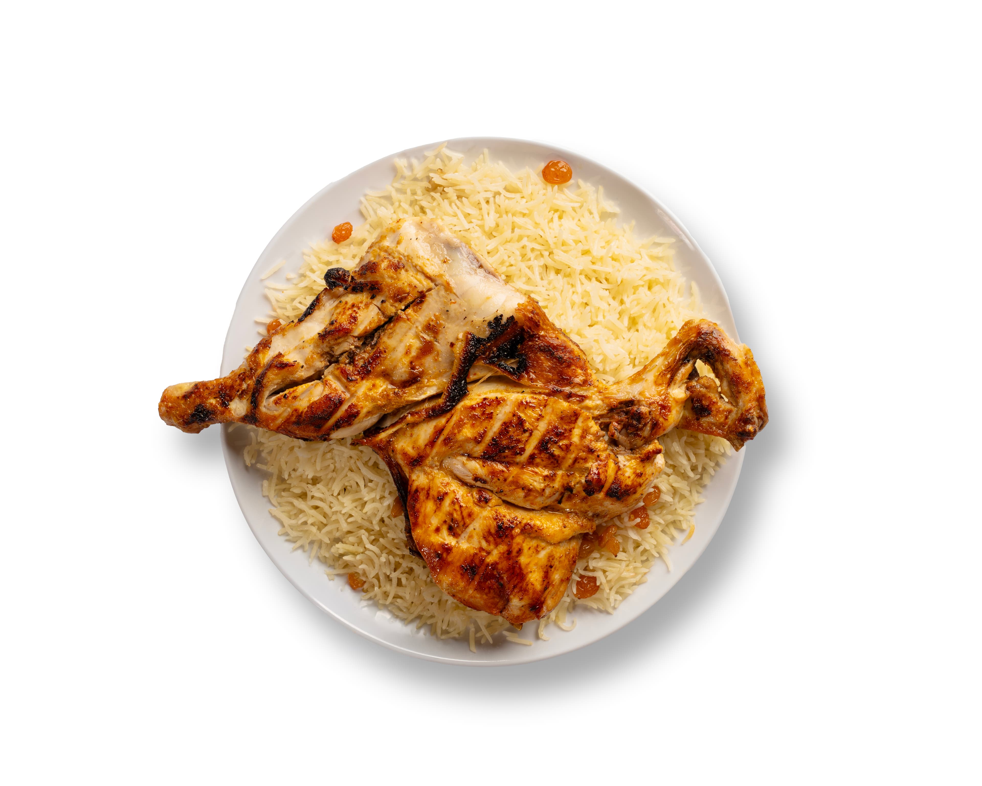 مظبي دجاج
